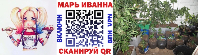 Цена Шенкурск Каннабис А ПВП COCAIN ГАШИШ Амфетамин Меф
