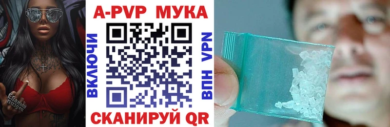 APVP СК КРИС  Шенкурск 