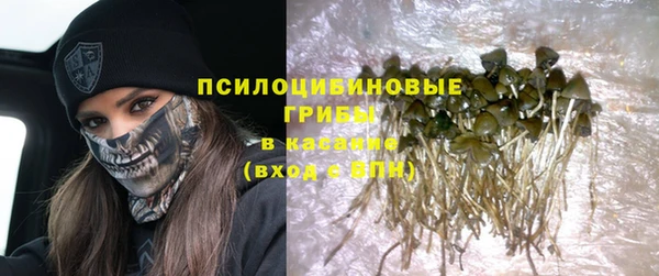 спайс Абаза