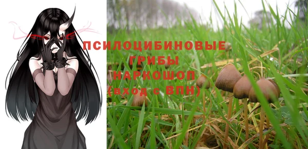 спайс Абаза