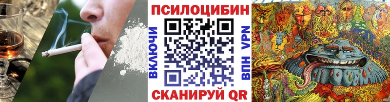 Псилоцибиновые грибы GOLDEN TEACHER  мега вход  Шенкурск  даркнет сайт 